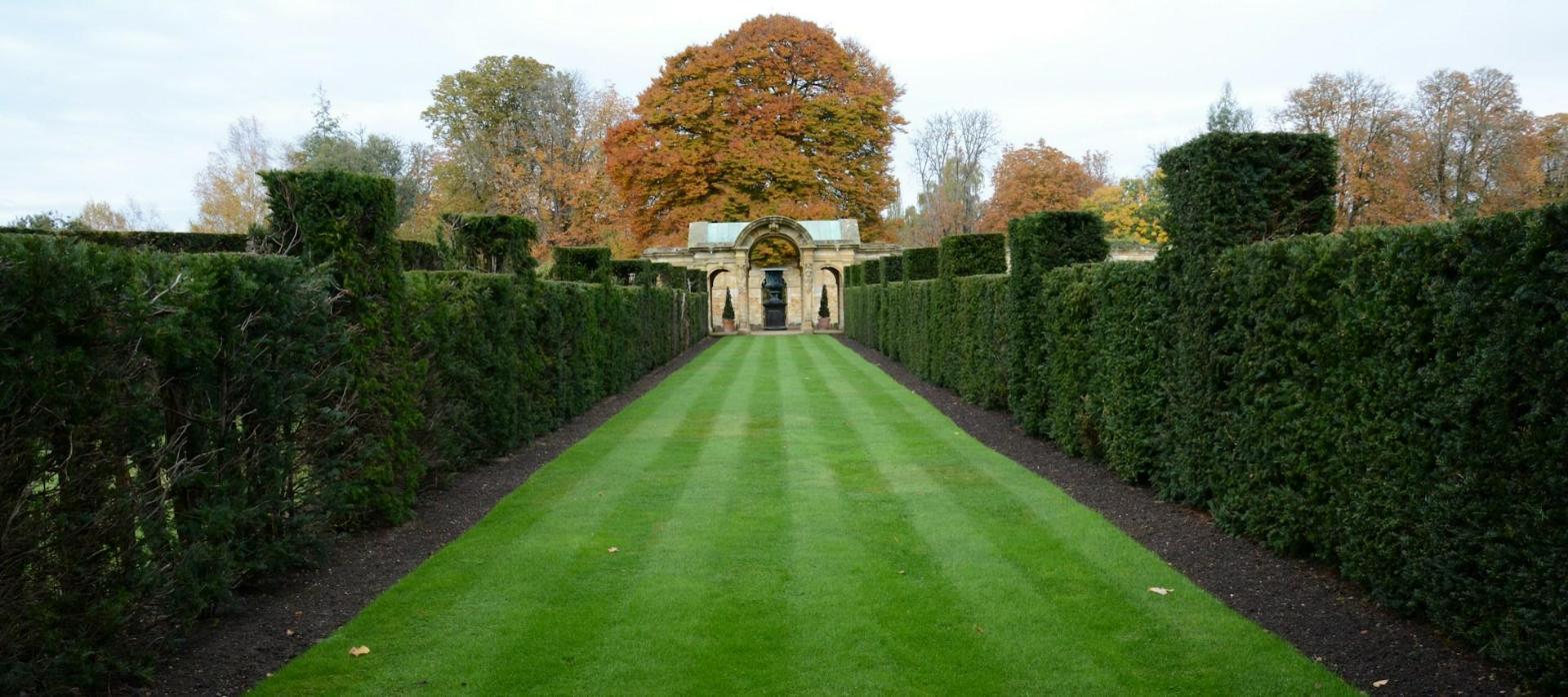 A long striped lawn bordered by clipped hedges